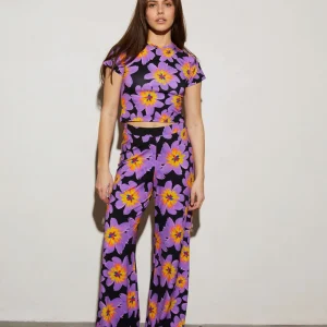 STIEGLITZ Josh Palazzo | Purple Best